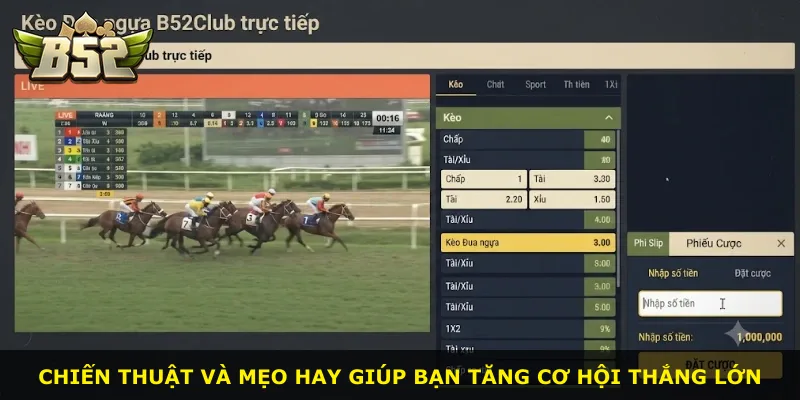 Chiến thuật và mẹo hay giúp bạn tăng cơ hội thắng lớn
