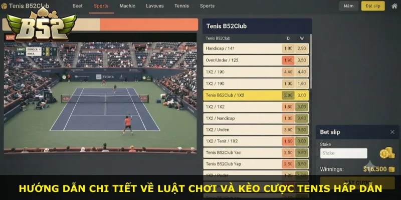 Hướng dẫn chi tiết về luật chơi và kèo cược Tenis hấp dẫn